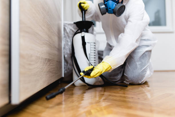 Best Residential Pest Control  in Mason, TX