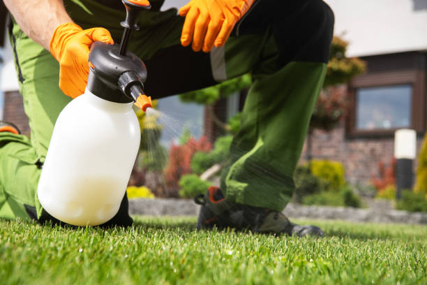 Best Pest Removal Services  in Mason, TX