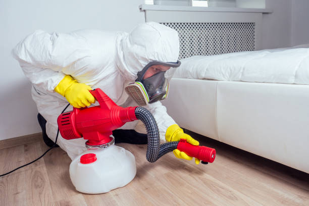 Best Pest Control Treatment  in Mason, TX