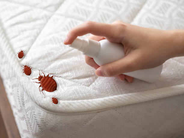 Best Wildlife Control Services  in Mason, TX